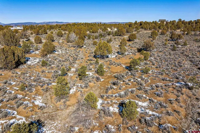 $185,000 | Tbd Farraday Road, Durango, CO 81303