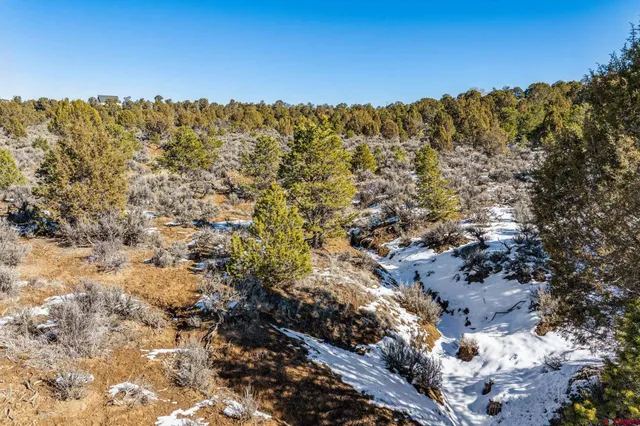 $185,000 | Tbd Farraday Road, Durango, CO 81303