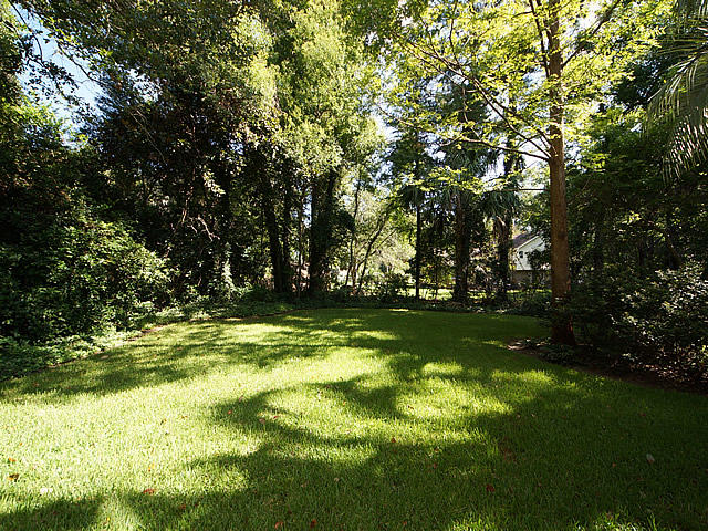 1432 Brian Road Charleston, SC 29407 - Photo 53 of 61 Yard6
