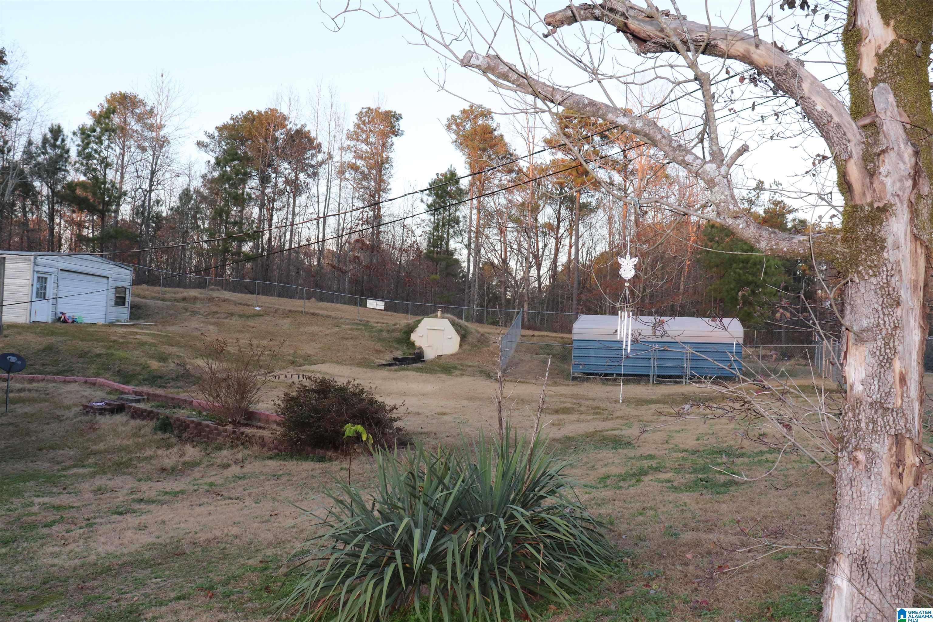 240 Sheffield Drive Oneonta, AL 35121 - Photo 2 of 34