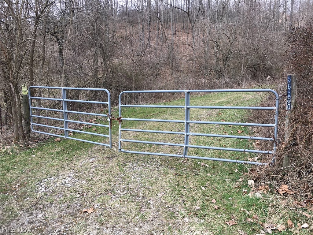 56600 Pfeffer Road Quaker City, OH 43773 - Photo 5 of 26
