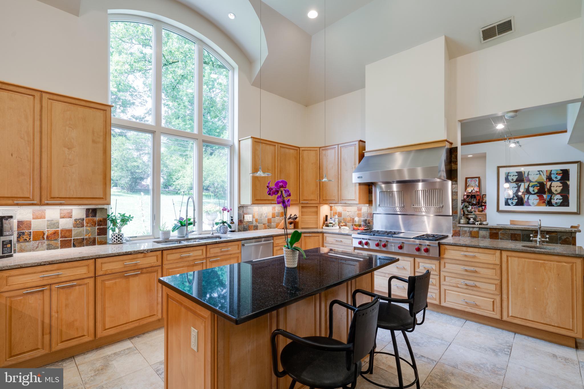 1501 Mt Pleasant Road Villanova, PA 19085 - Photo 18 of 49 a kitchen with a sink a counter top space and stainless steel appliances