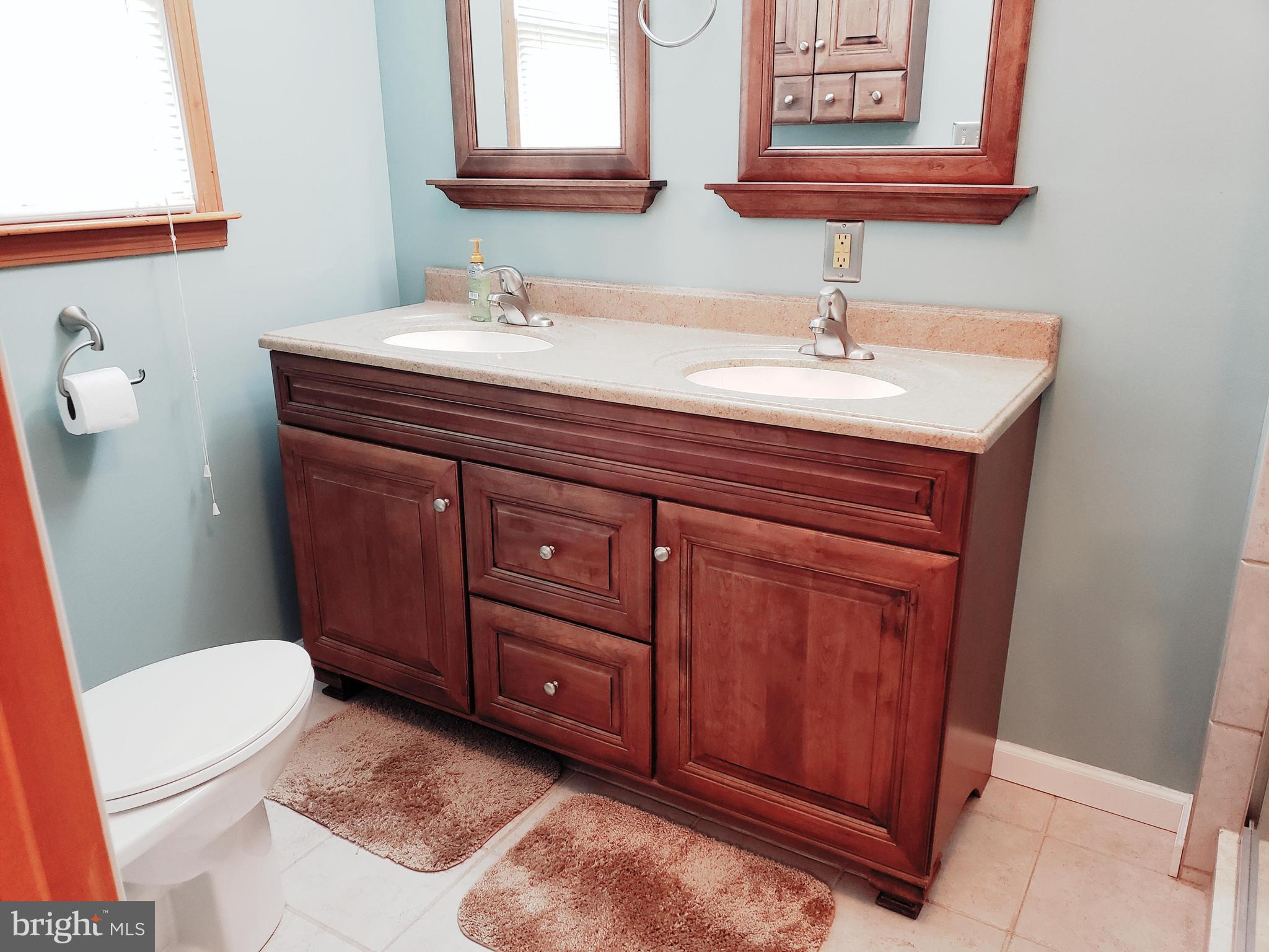 25 Blake Road Elkton, MD 21921 - Photo 7 of 19 Bath (Master) View I