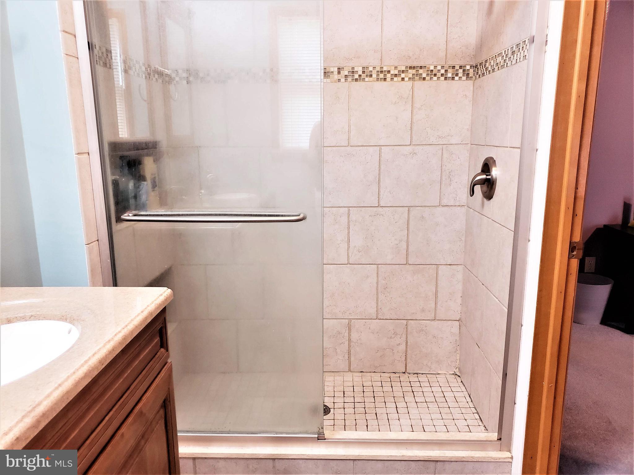 25 Blake Road Elkton, MD 21921 - Photo 8 of 19 Bath (Master) View II