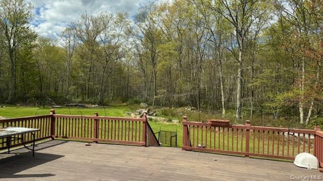 187 Echo Road Pine Bush, NY 12566 - Photo 13 of 15