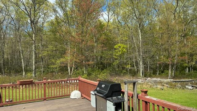 187 Echo Road Pine Bush, NY 12566 - Photo 14 of 15