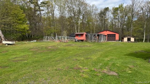 187 Echo Road Pine Bush, NY 12566 - Photo 4 of 15 Garden & Chicken coop