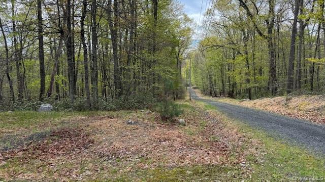 187 Echo Road Pine Bush, NY 12566 - Photo 6 of 15 Driveway coming to the home