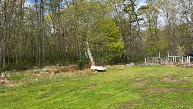 187 Echo Road Pine Bush, NY 12566 - Photo 7 of 15 Property surrounded by woods
