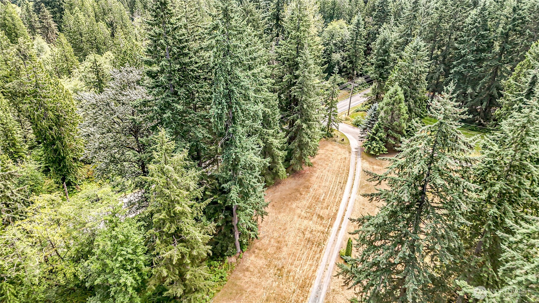 18612 51st Avenue Southeast Bothell, WA 98012 - Photo 15 of 20 a view of a yard with plants and wooden fence