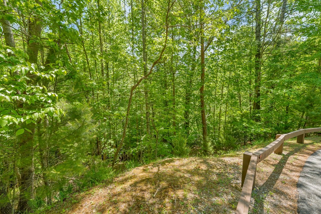 Lot 36 Daisy Ridge Road Banner Elk, NC 28604 - Photo 22 of 34 Gallery Image 22