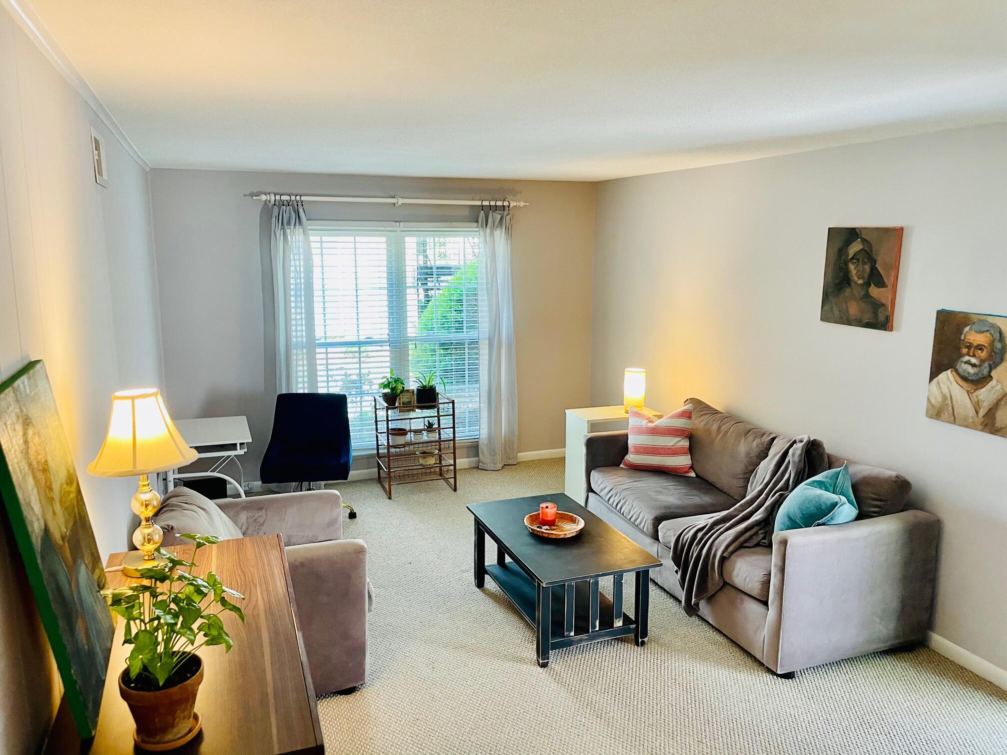 650 Cornell Street, Unit D53 Charleston, SC 29407 - Photo 2 of 21 large living