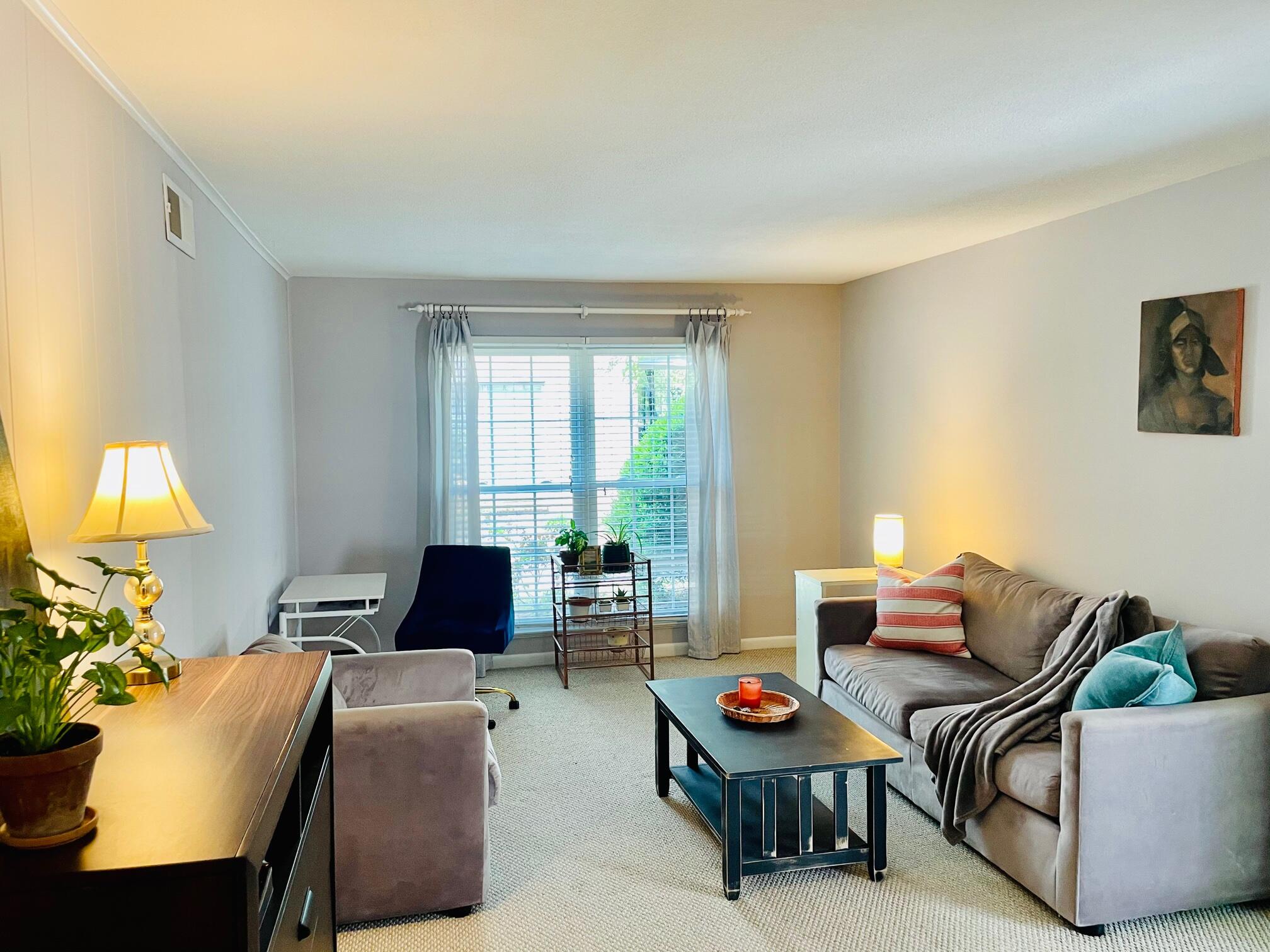 650 Cornell Street, Unit D53 Charleston, SC 29407 - Photo 4 of 21 living 5