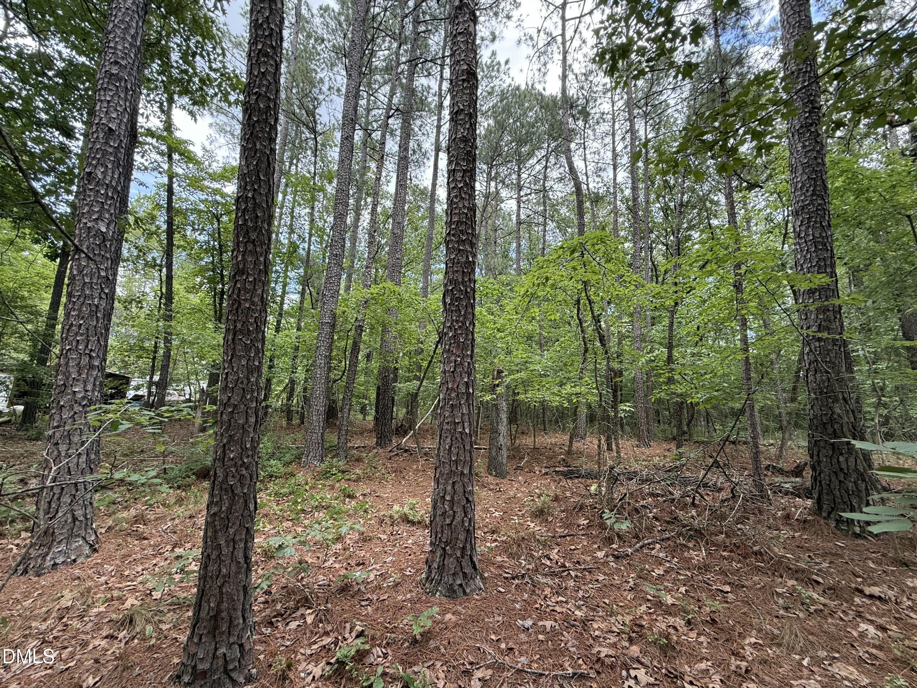 0 Elfman Drive Spring Lake, NC 28390 - Photo 8 of 40 a view of outdoor space and green space