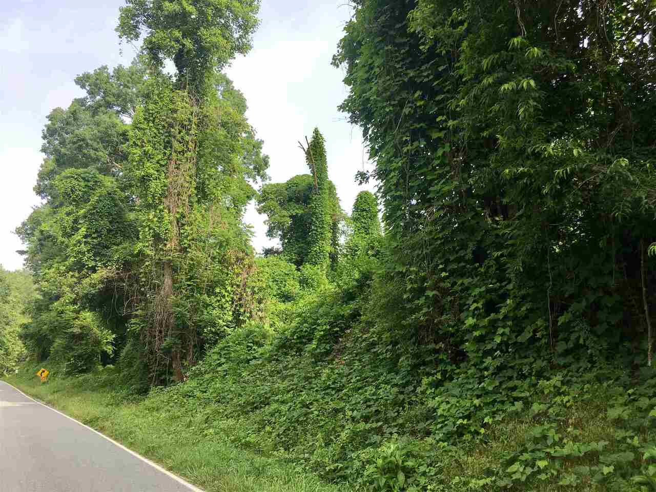 676 Highway 2 Blue Ridge, GA 30513 - Photo 1 of 1 a view of a forest