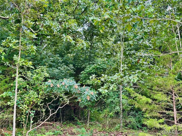 $52,500 | 0 Co Road, Salem, MO 65560