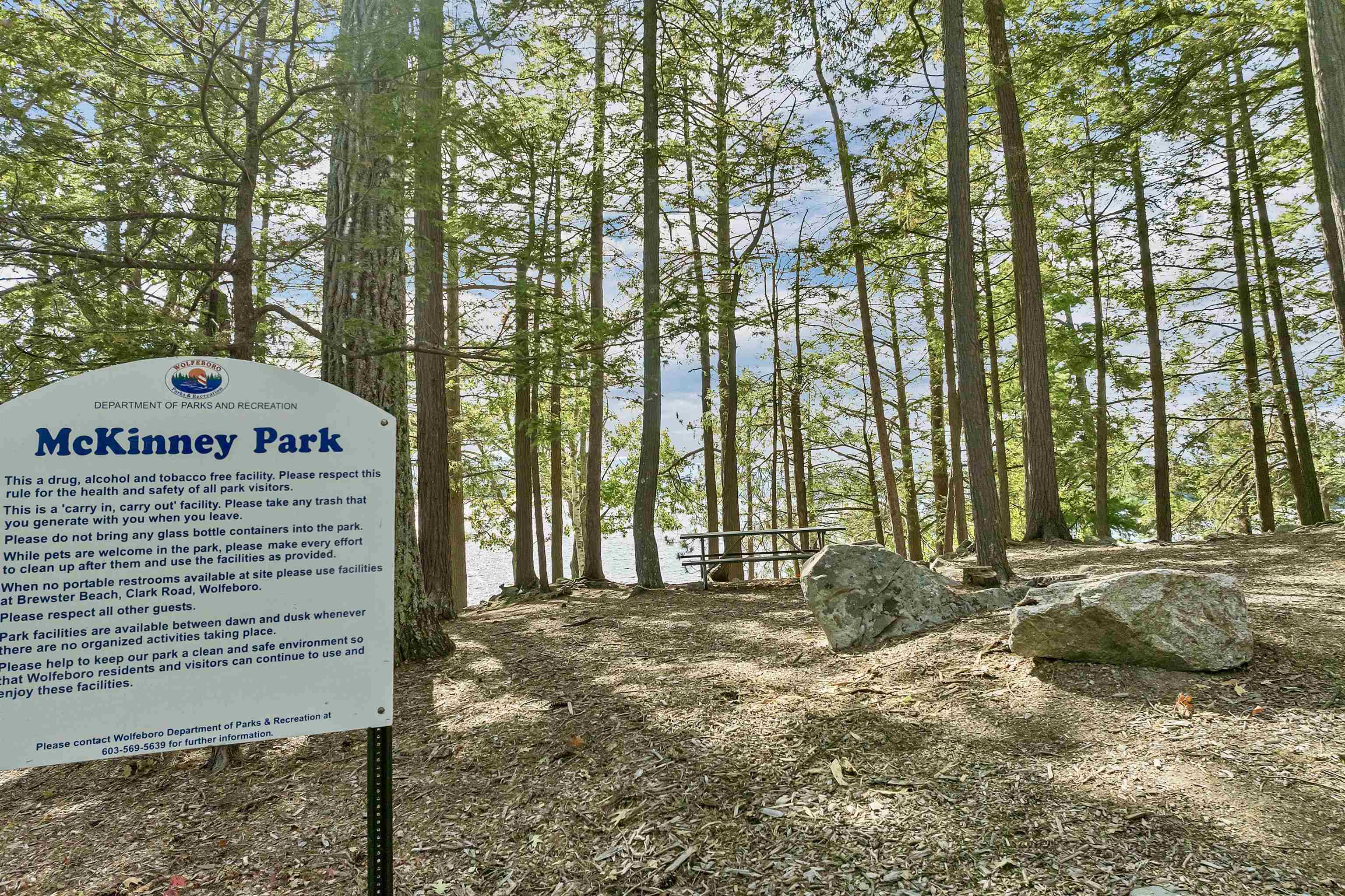 163 Clark Road Wolfeboro, NH 03894 - Photo 54 of 60