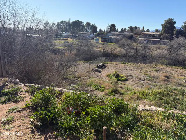 a view of a dry yard with trees