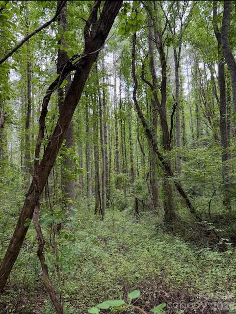 132 Hurd Road Canton, NC 28716 - Photo 19 of 41