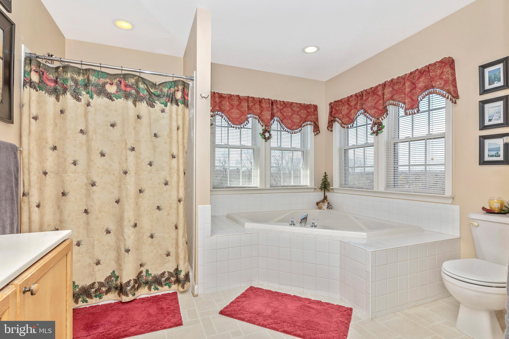 19 Rockingham Drive Keedysville, MD 21756 - Photo 28 of 54 Master bath with soaking tub
