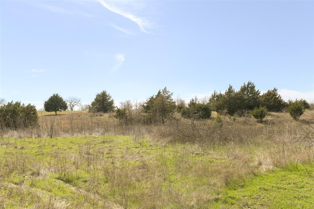 4590 Old Fort Worth Road Midlothian, TX 76065 - Photo 13 of 20 a view of lake with green space