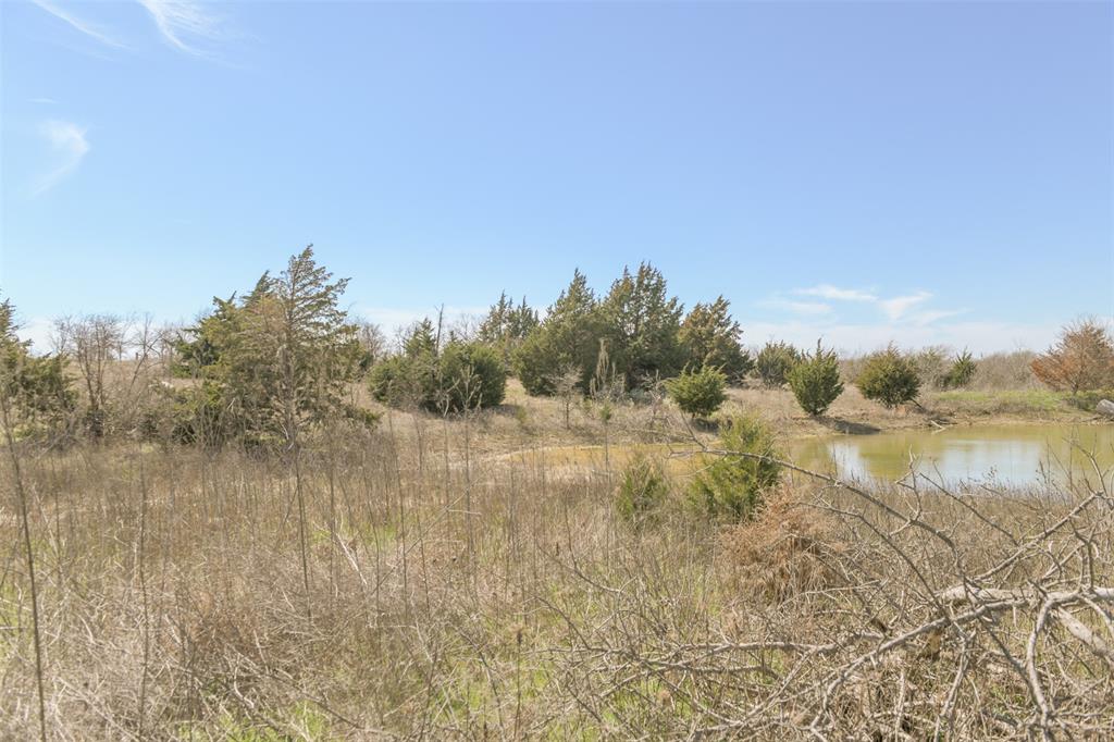 4590 Old Fort Worth Road Midlothian, TX 76065 - Photo 15 of 20 a view of a lake view