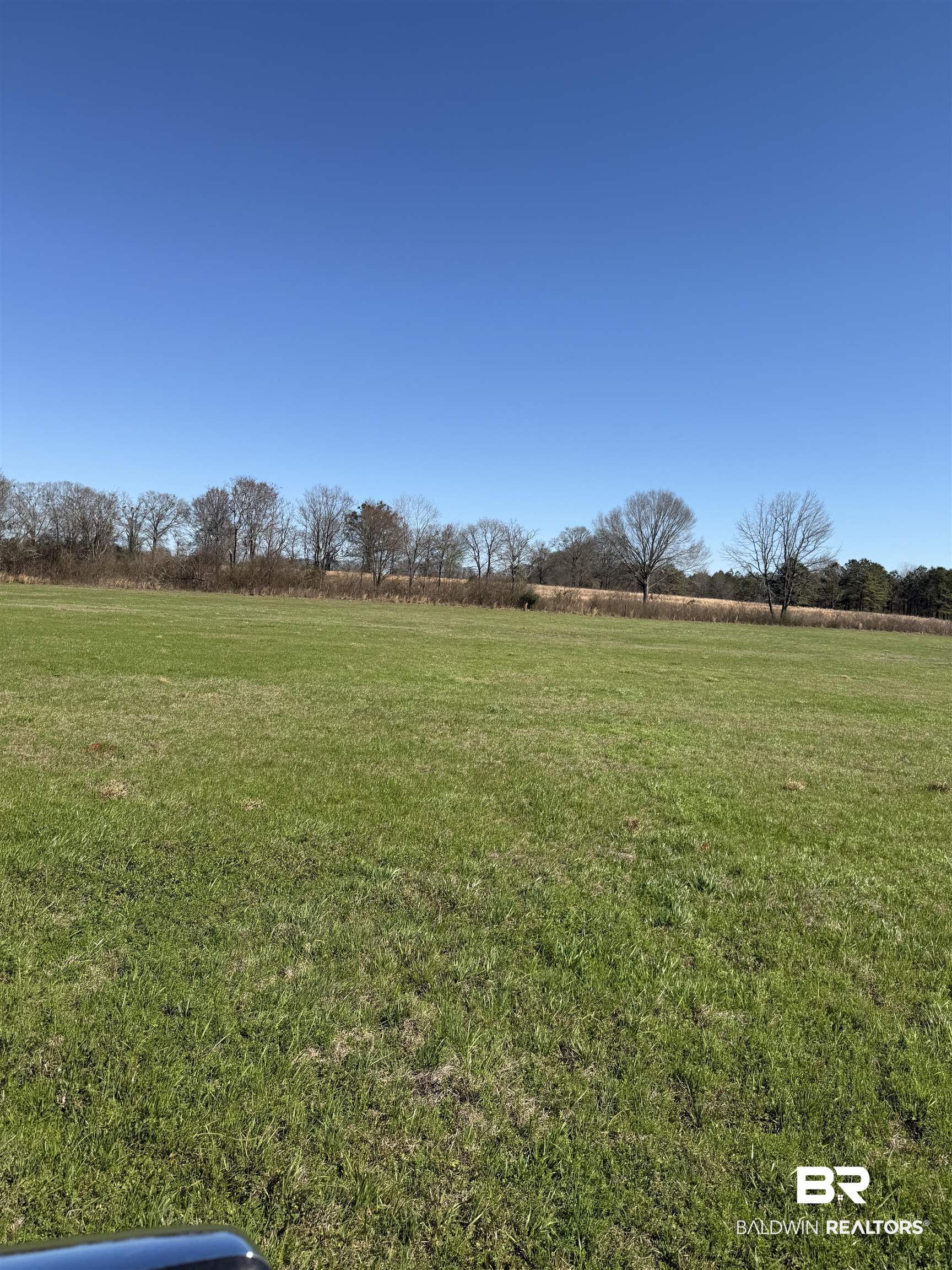 325 Honoraville Road Greenville, AL 36037 - Photo 1 of 10 Exterior view