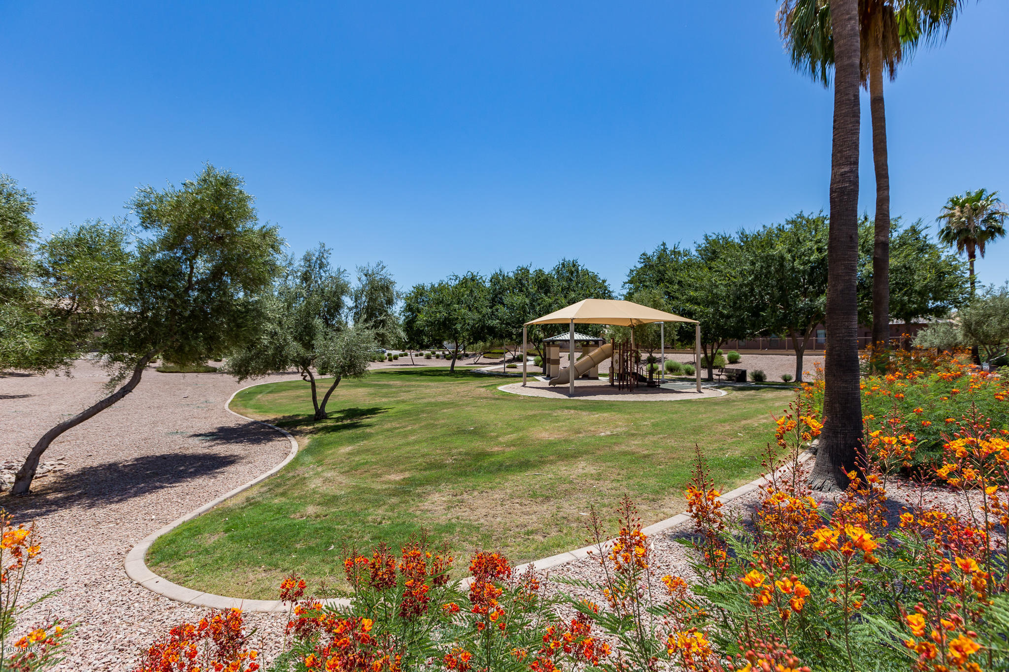 3744 East Del Rio Street Gilbert, AZ 85295 - Photo 29 of 32 a view of a garden