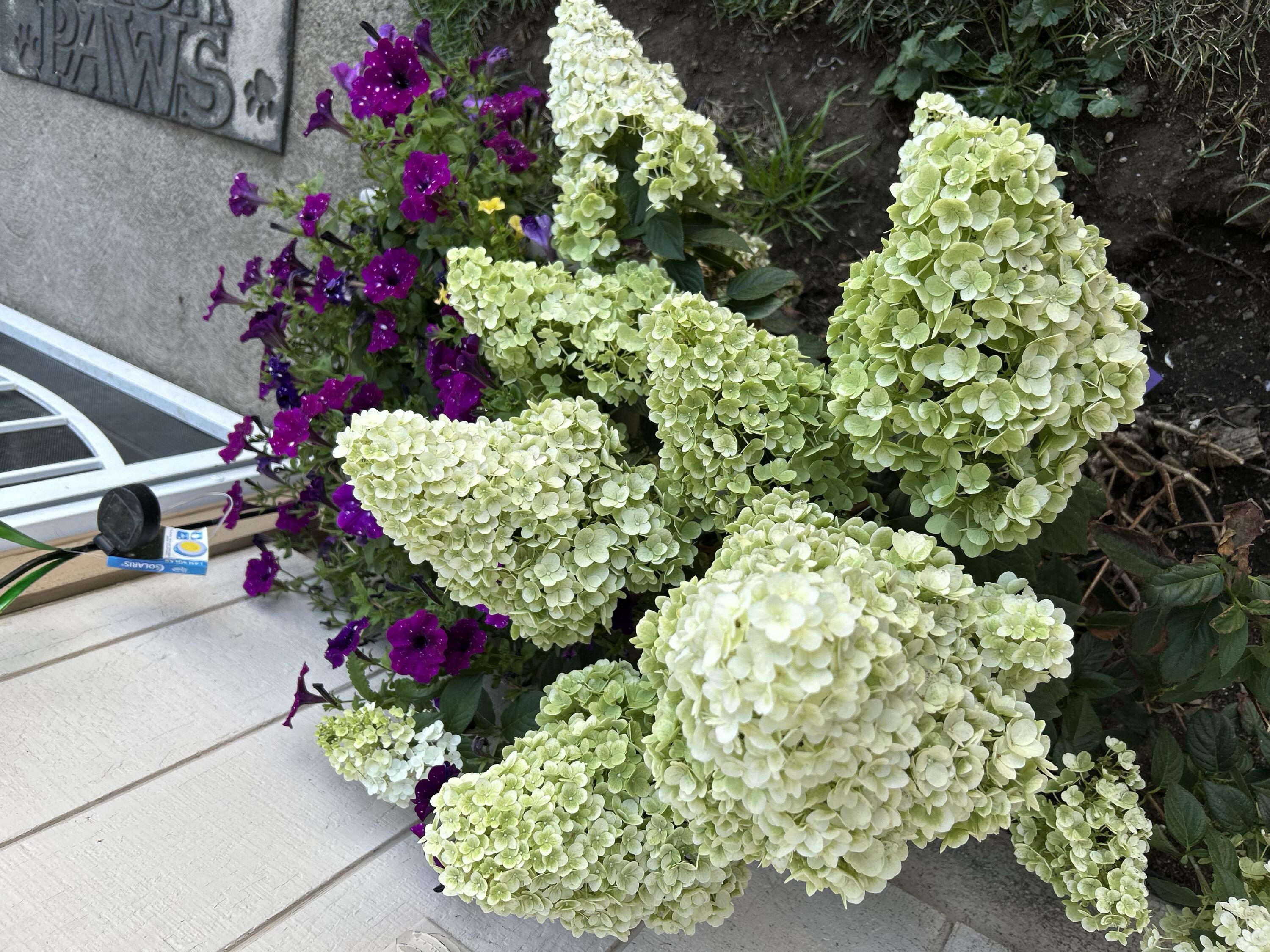 2218 Southwest 79th Street Redmond, OR 97756 - Photo 51 of 54 a flower view with flowers and garden