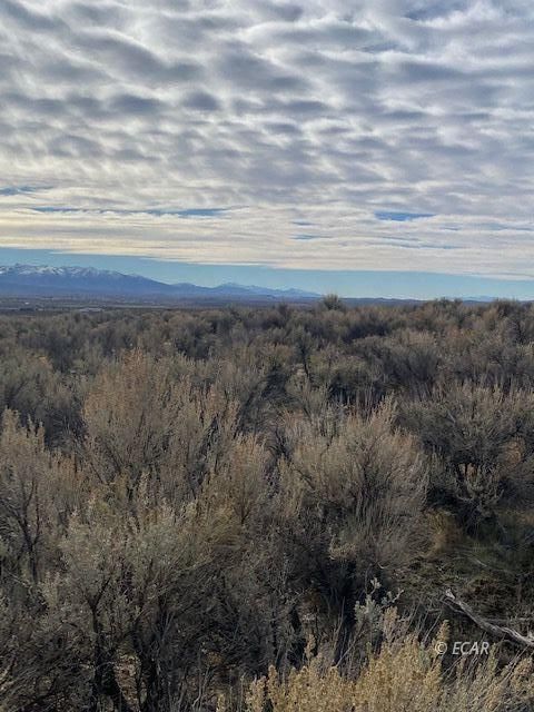 Wong Way Spring Creek Spring Creek, NV 89815 - Photo 1 of 8