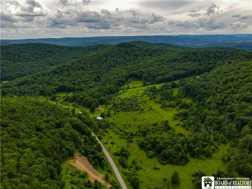 1605 Lillibridge Road Olean, NY 14760 - Photo 48 of 49