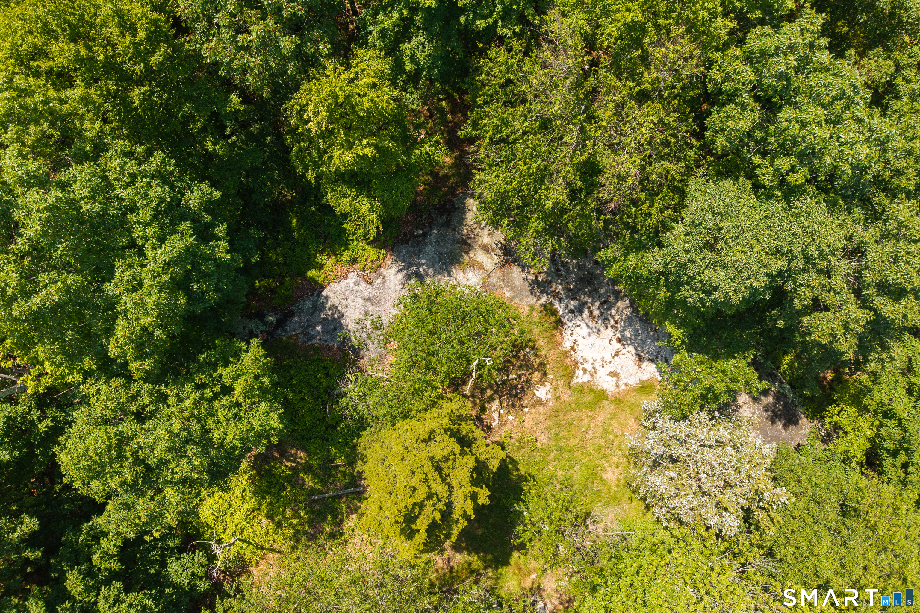 Maple Avenue West Higganum, CT 06441 - Photo 6 of 13