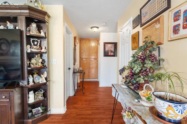 a view of a hallway with wooden floor and a potted plant