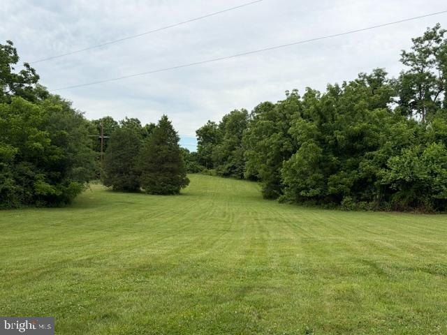 1801 Old Chapel Road Boyce, VA 22620 - Photo 29 of 31 Put in your Own Putting Green here.