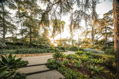 a view of a yard with plants and trees
