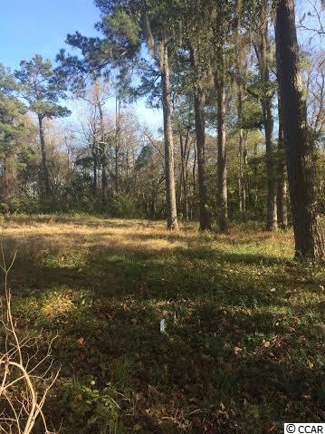 6301 Hendricks Short-Cut Road Conway, SC 29527 - Photo 1 of 3 Gallery Image 1
