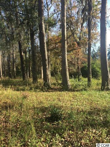 6301 Hendricks Short-Cut Road Conway, SC 29527 - Photo 2 of 3 Gallery Image 2
