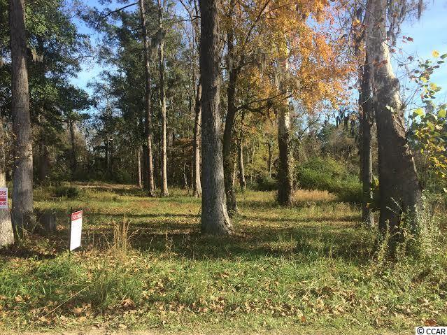 6301 Hendricks Short-Cut Road Conway, SC 29527 - Photo 3 of 3 Gallery Image 3