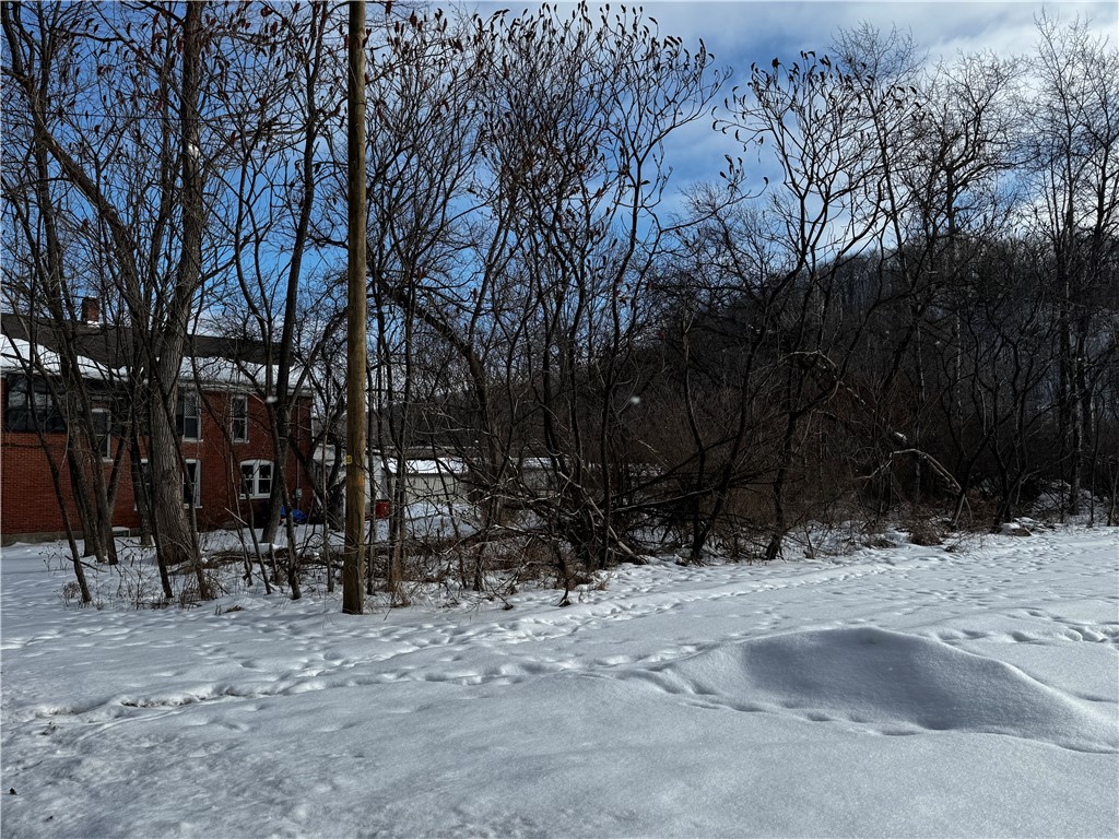 6306 Shaw Road Alfred, NY 14803 - Photo 4 of 27 additional lot