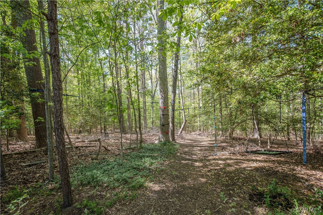 11360 Glendevon Road Chesterfield, VA 23838 - Photo 33 of 43 Woods to explore!