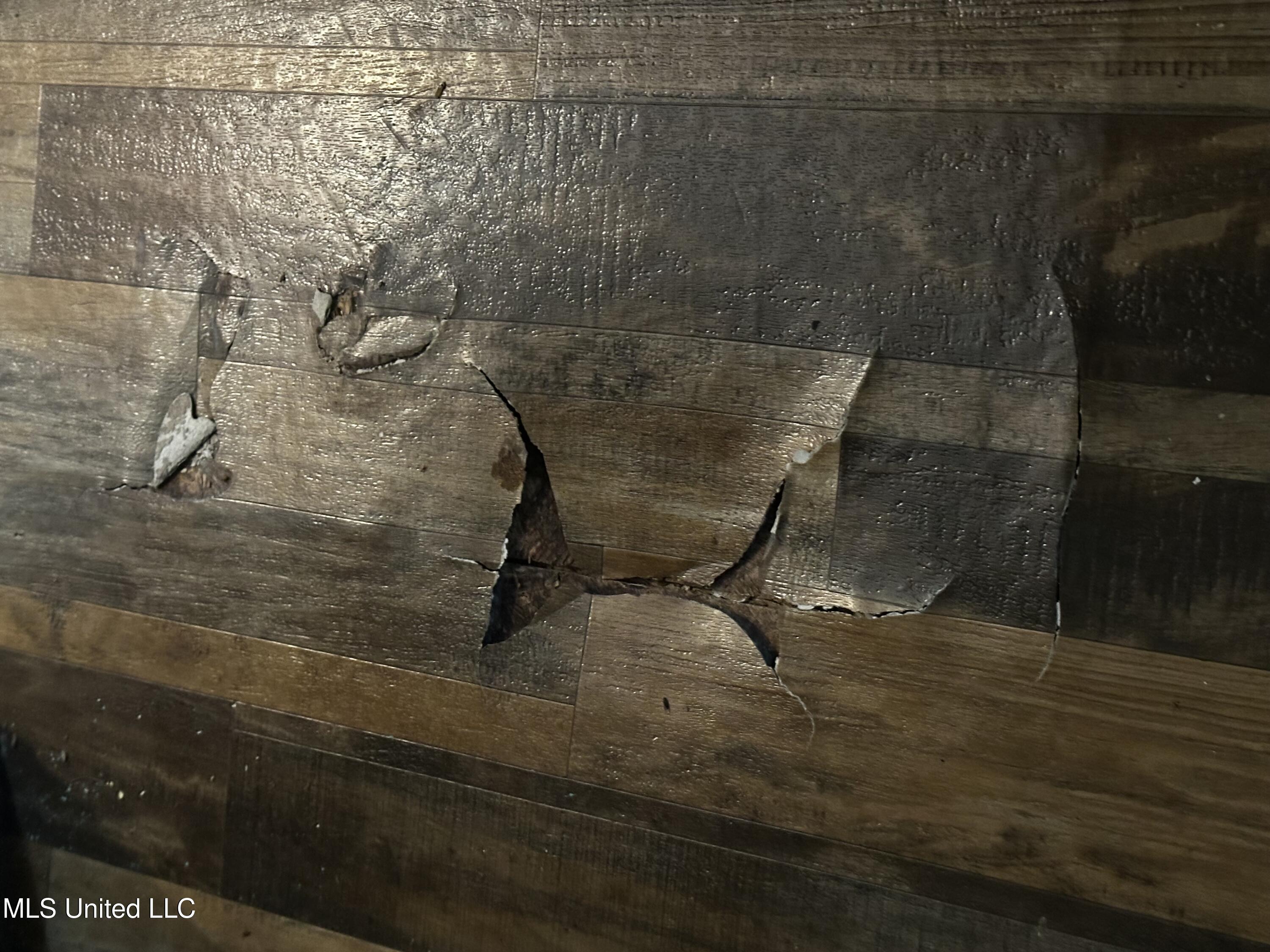 3218 41st Avenue Meridian, MS 39307 - Photo 13 of 23 IMG_8035