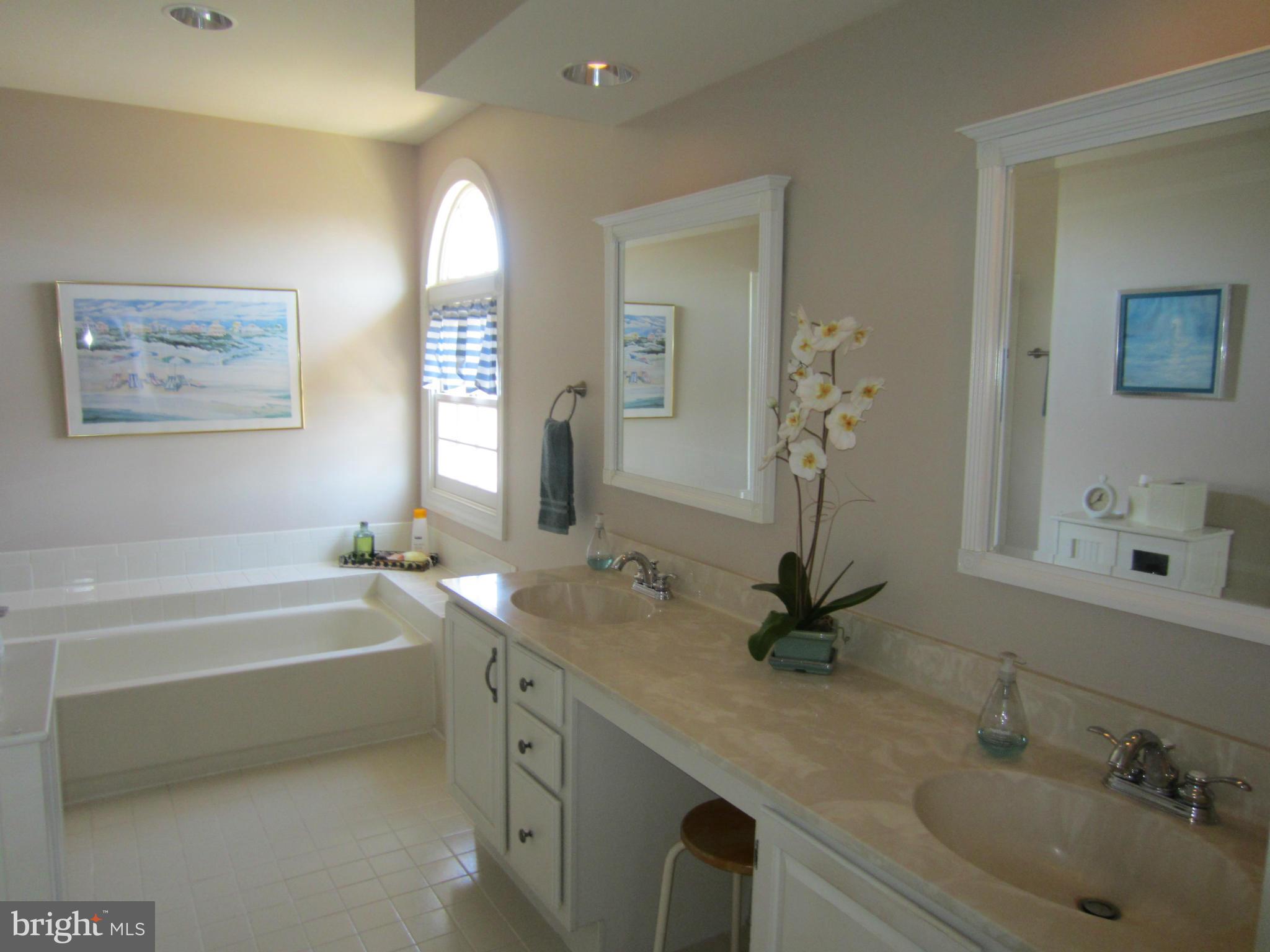 6 Rideout Court Gaithersburg, MD 20877 - Photo 23 of 30 Bath (Master)