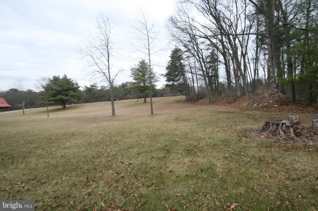 a view of a yard with large trees
