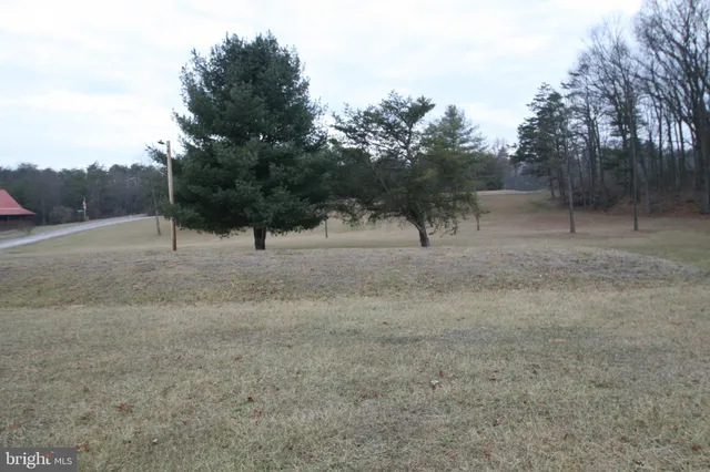 a view of open area with green space