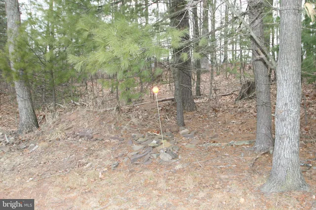 a backyard of a building