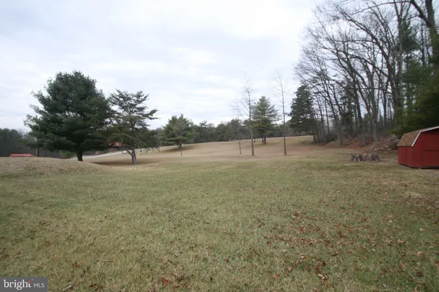 a view of a field with trees in the background