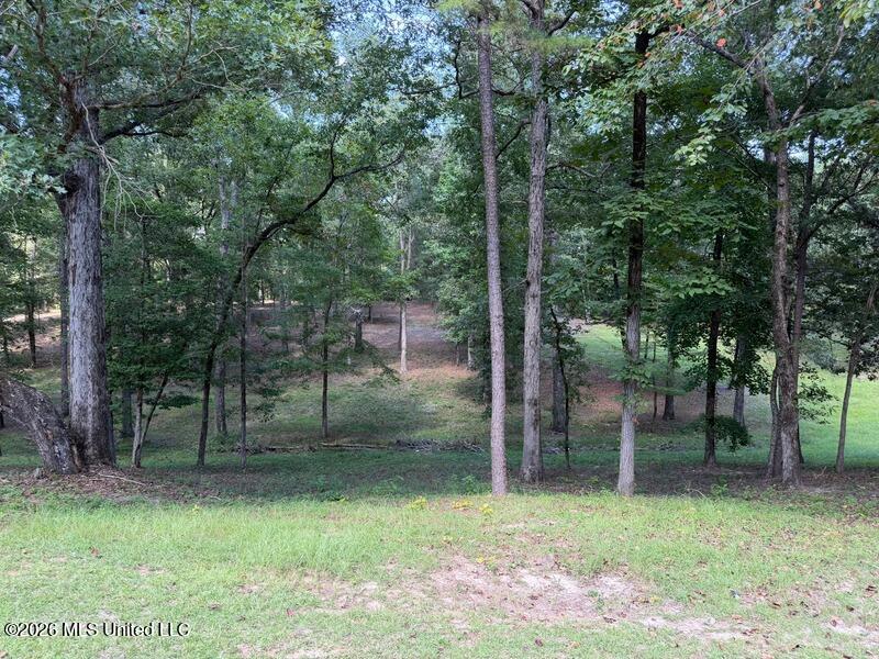 18159 Highway 15 Decatur, MS 39327 - Photo 77 of 84 width_800 (5)