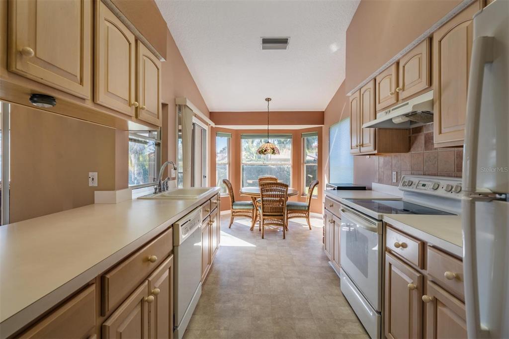 1211 Almondwood Drive Trinity, FL 34655 - Photo 5 of 44