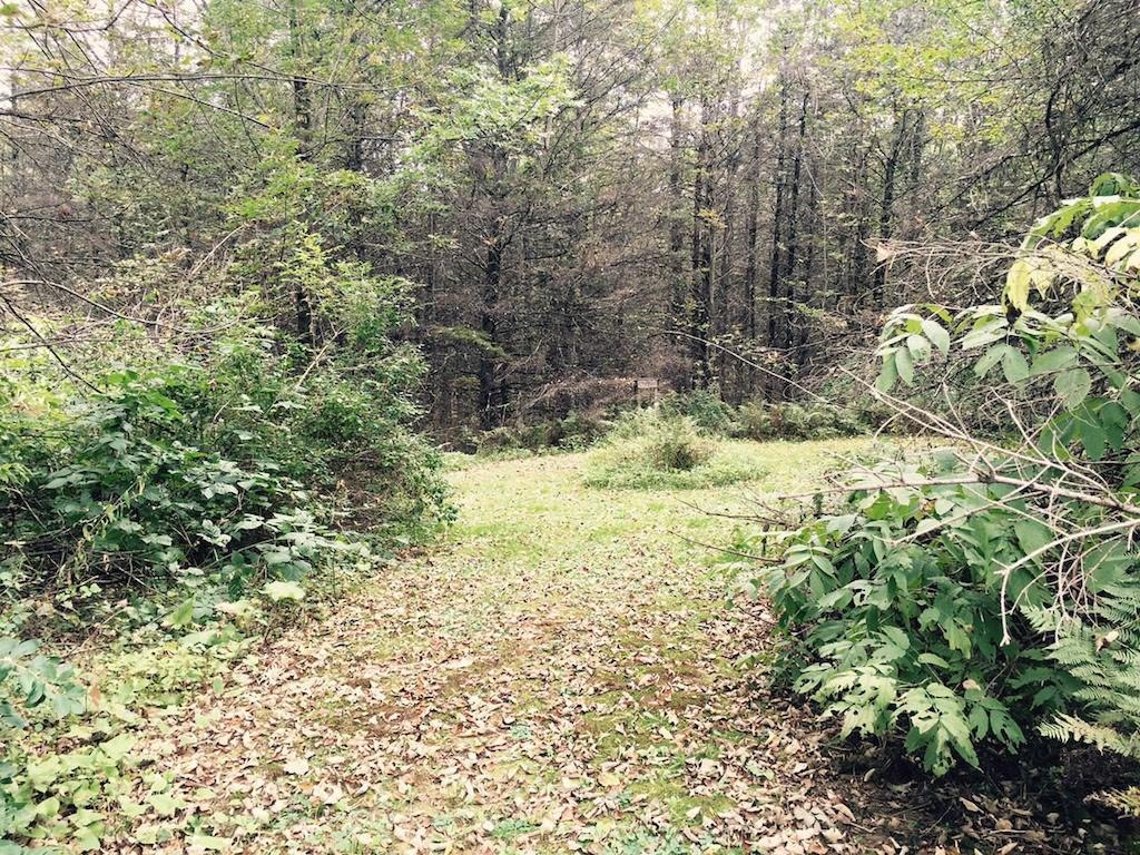 362 Middle Road Fairfield, ME 04937 - Photo 27 of 28 Fire pit area