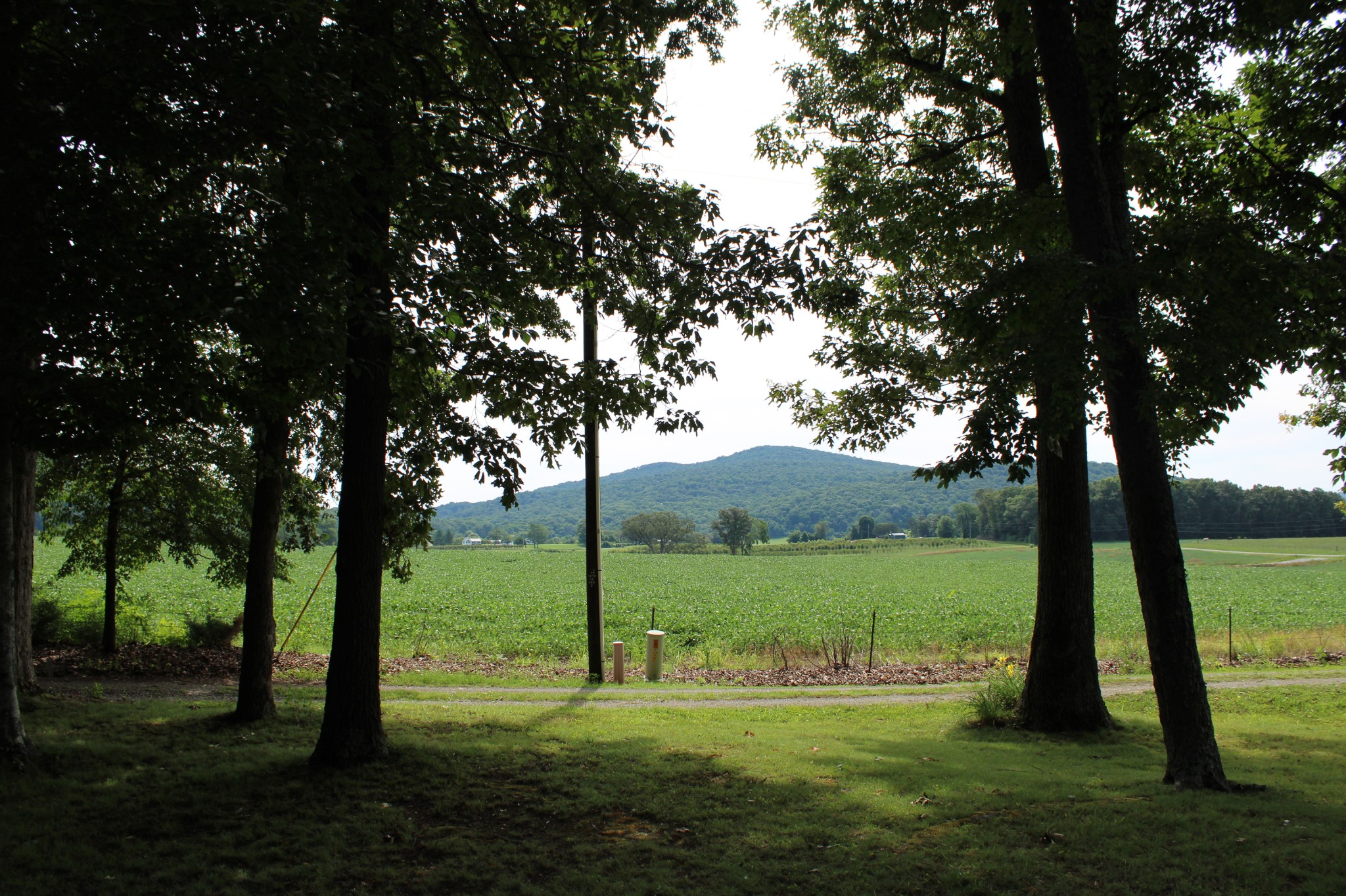 612 Bost Road McMinnville, TN 37110 - Photo 8 of 47
